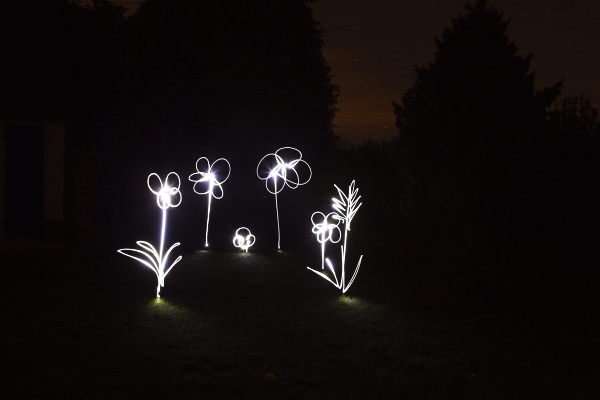 Flowers drawn in light writing